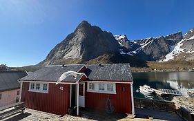 Reinebua